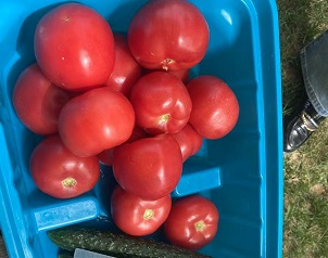 ‌Hebei Puyou Hosts Monthly Outdoor BBQ Gathering Ahead of May Day Holiday