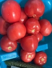 Hebei Puyou Hosts Monthly Outdoor BBQ Gathering Ahead of May Day Holiday Hebei Puyou Hosts Monthly Outdoor BBQ Gathering Ahead of May Day Holiday